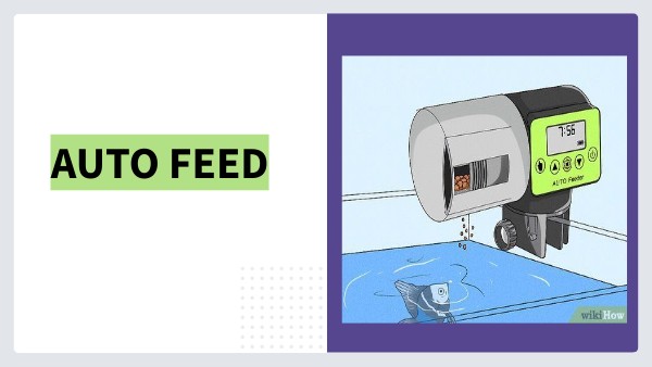 PDRL PRESENTATION(AUTO FEED