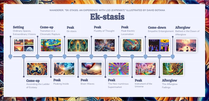 Ek-Stasis Trip Report | Genially