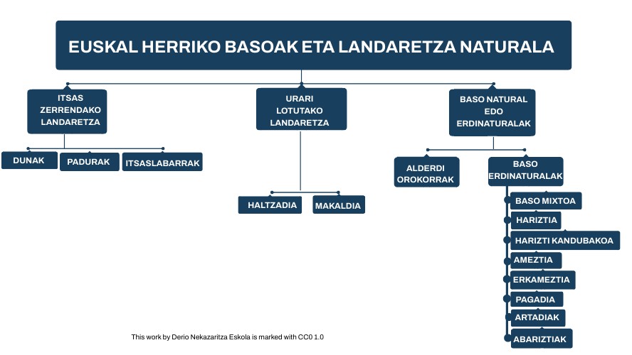 Copia - Boxes Concept Map | Genially