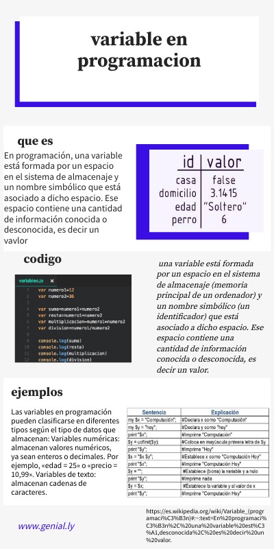 Infografía Interactiva Básica