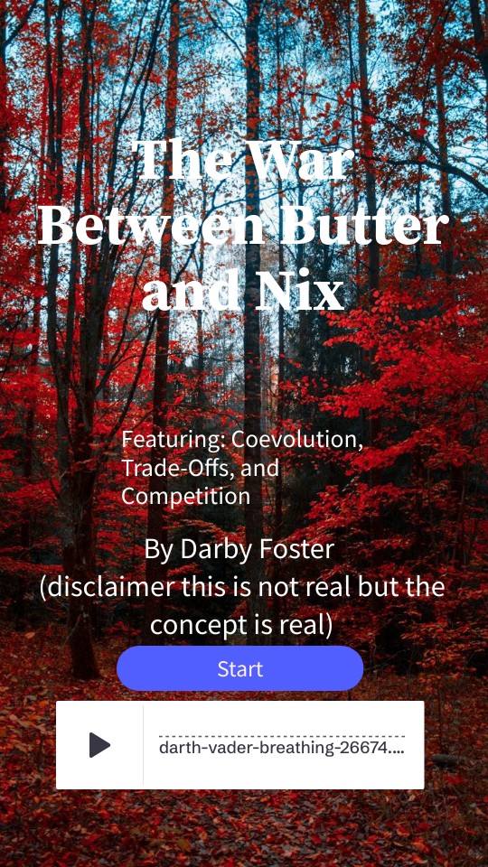 Basic interactive presentation mobile