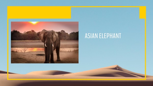 ANIMALS PRESENTATION | Genially