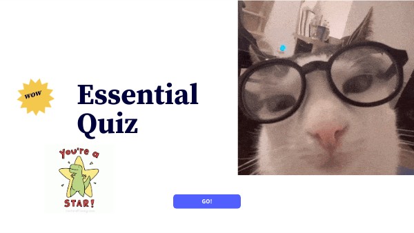 Quiz essentiel